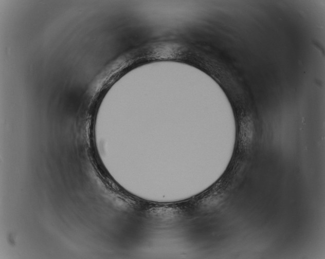 X0000103970730200810101307