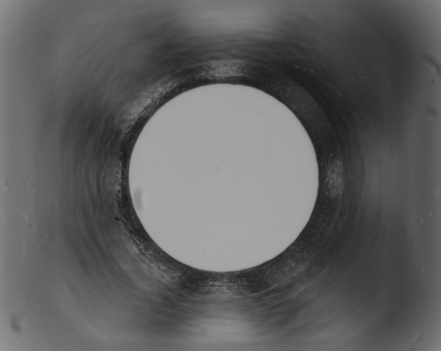 X0000103970732200810101307