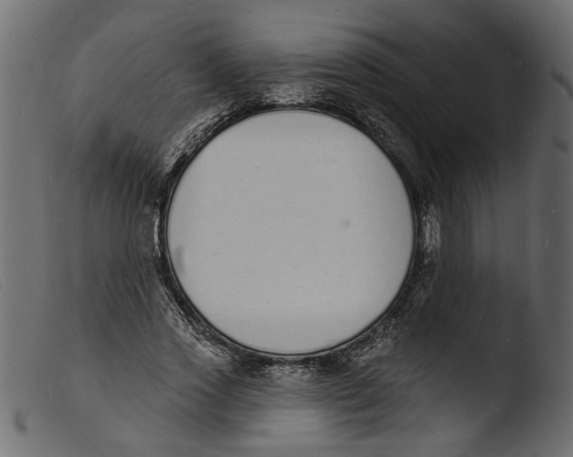 X0000103970733200810101307