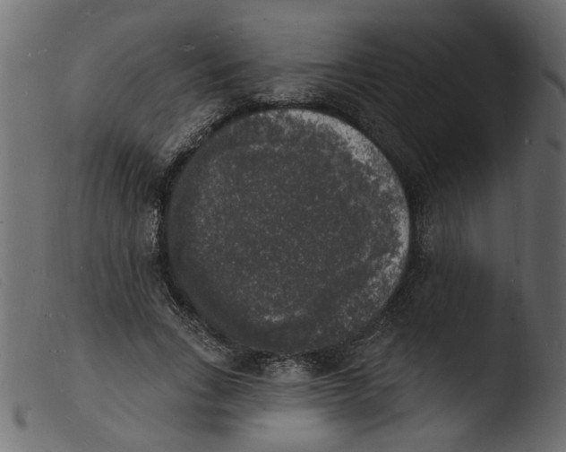 X0000103970735200810101308