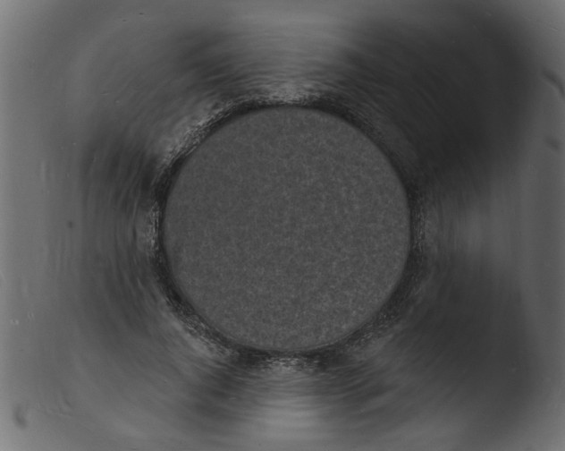 X0000103970736200810101308