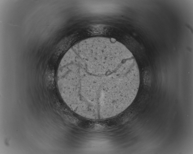 X0000103970737200810101308