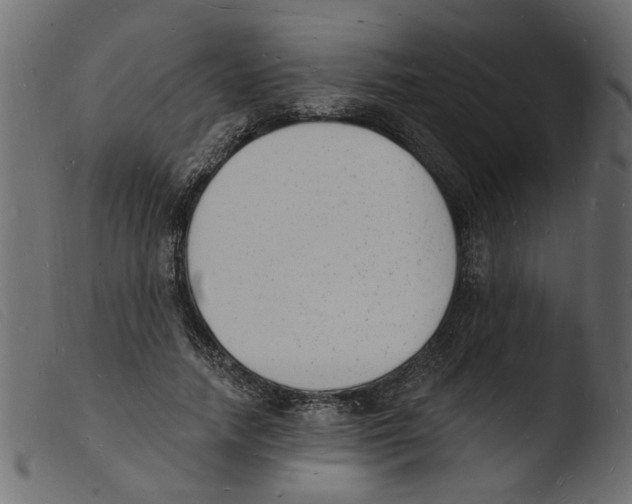 X0000103970738200810101308