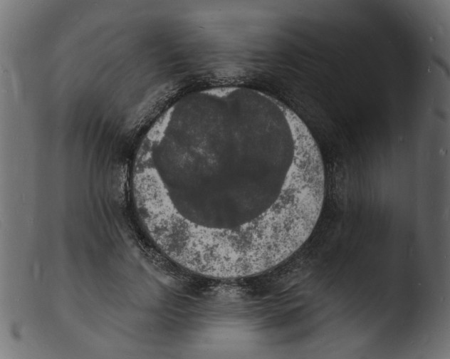 X0000103970742200810101308