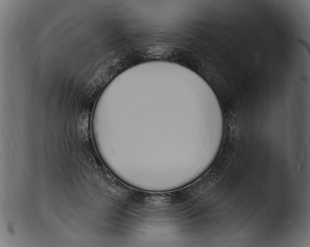 X0000103970745200810101308