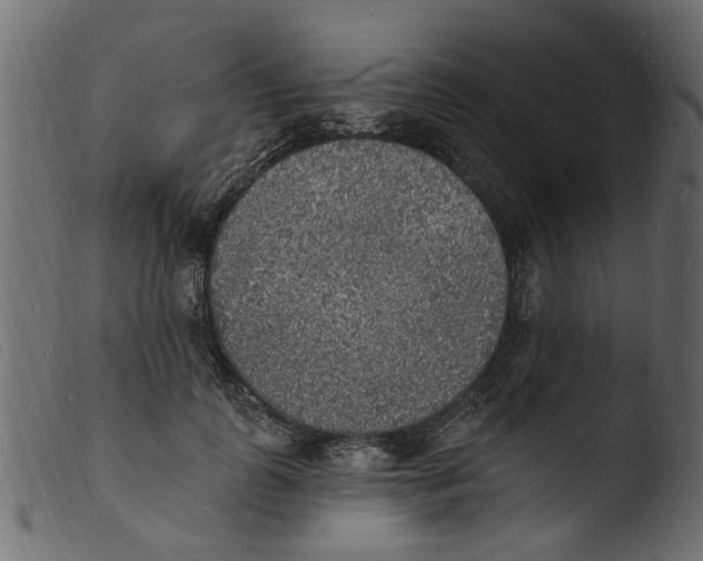 X0000103970747200810101308