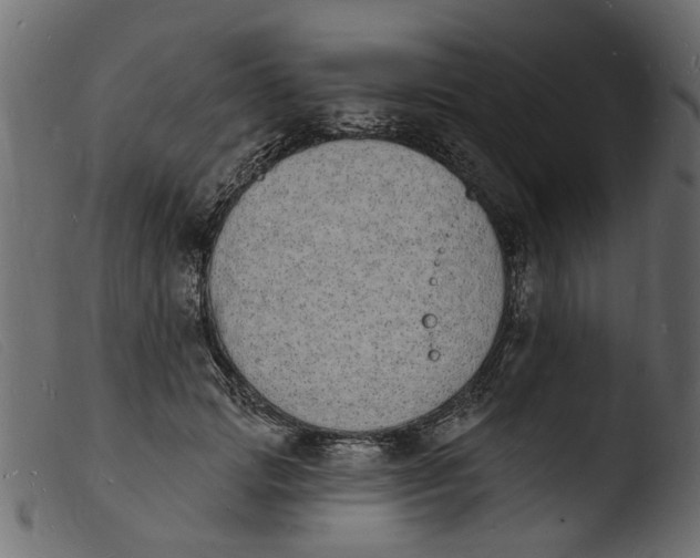 X0000103970749200810101308