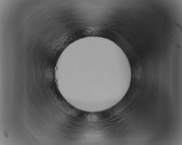 X0000103970751200810101308