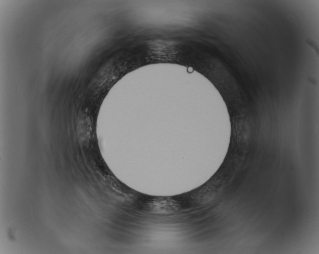 X0000103970752200810101308