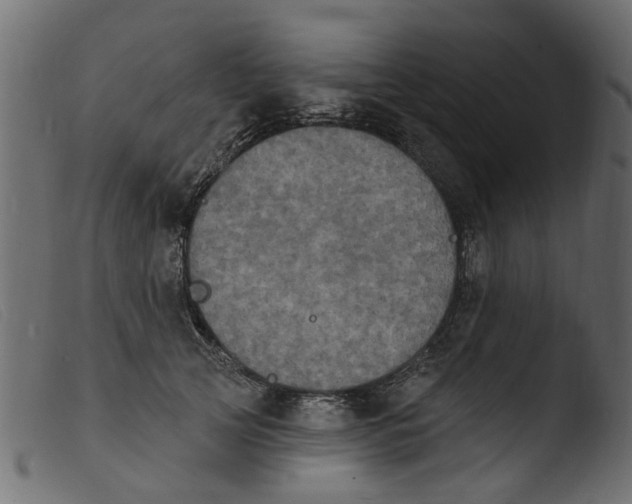 X0000103970753200810101308