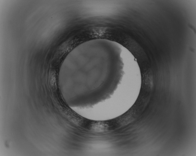 X0000103970754200810101308