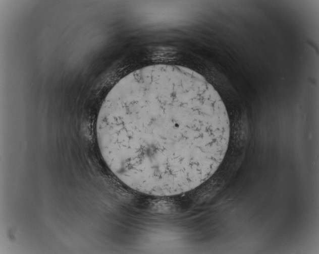 X0000103970755200810101308