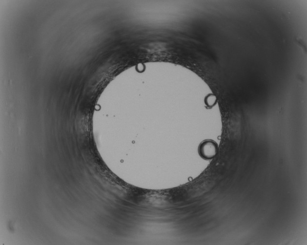 X0000103970756200810101308