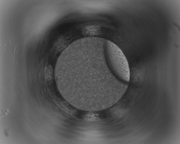 X0000103970760200810101308