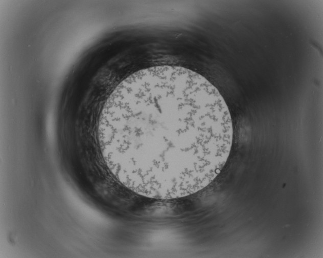 X0000103970764200810101308