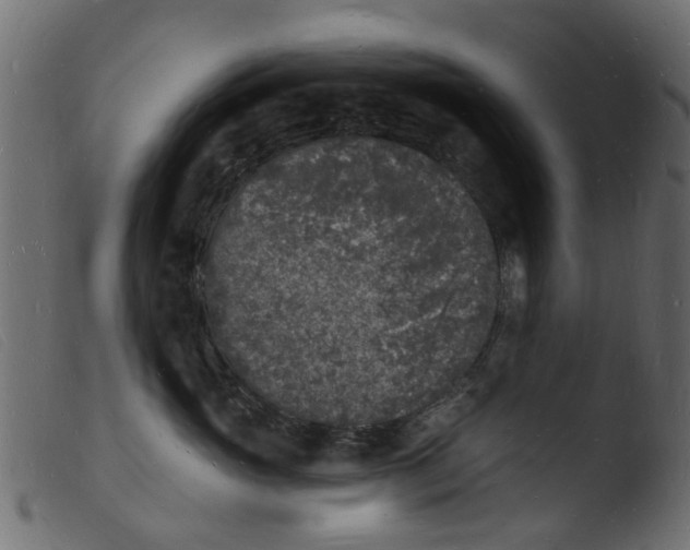 X0000103970765200810101308