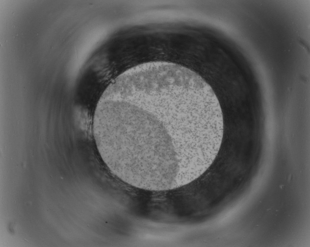 X0000103970766200810101308