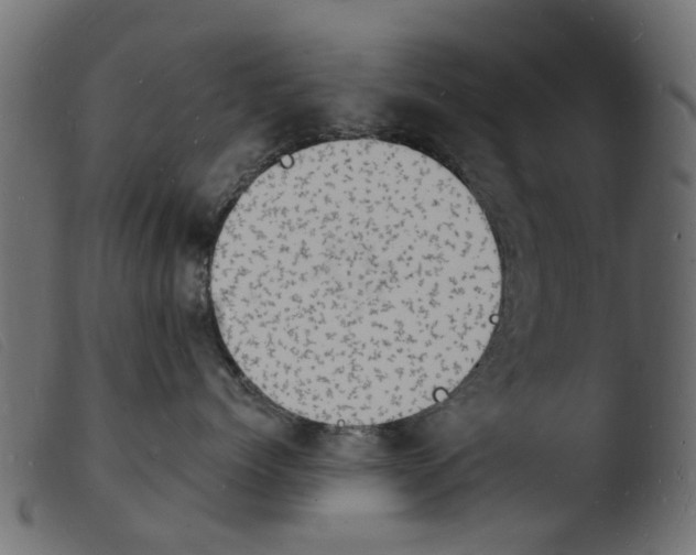 X0000103970768200810101308