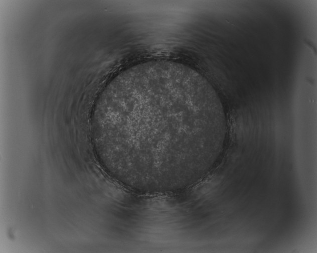 X0000103970769200810101307