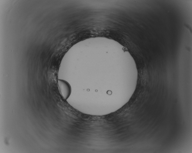 X0000103970770200810101307