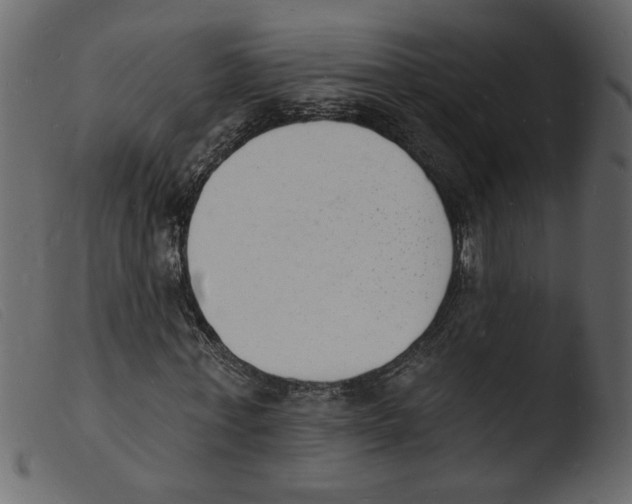 X0000103970771200810101307