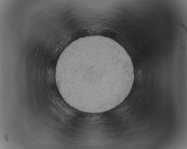 X0000103970772200810101307