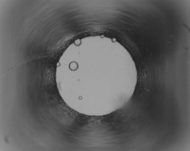 X0000103970773200810101307