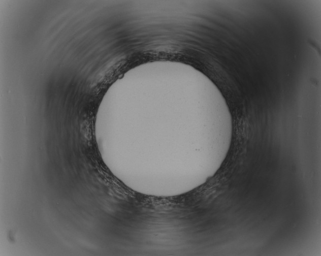 X0000103970774200810101307