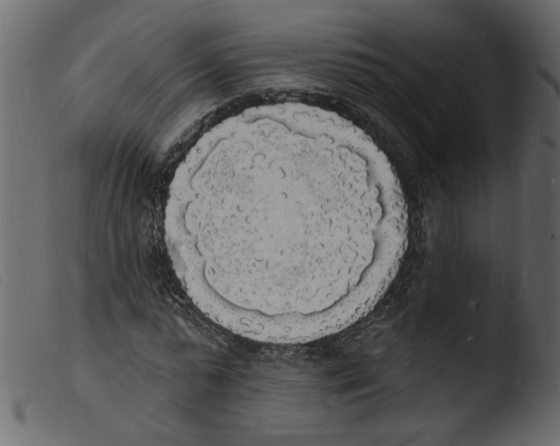 X0000103970775200810101307