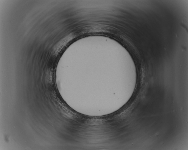 X0000103970777200810101307