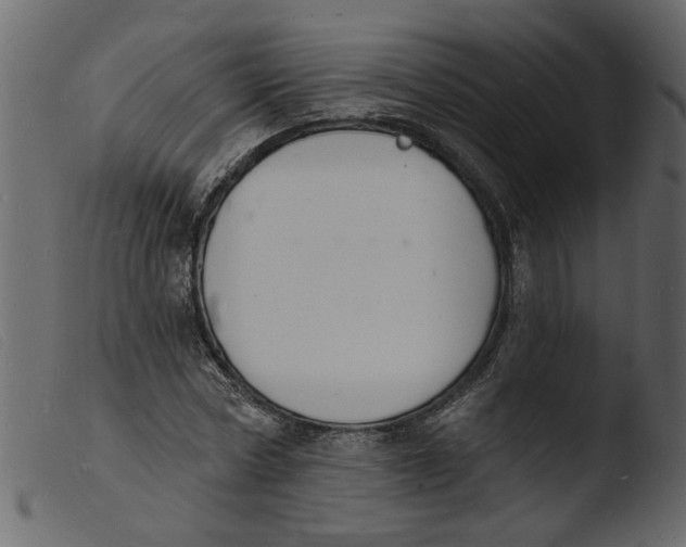 X0000103970778200810101307