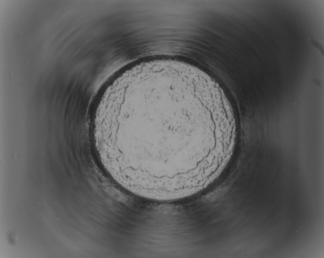 X0000103970779200810101307