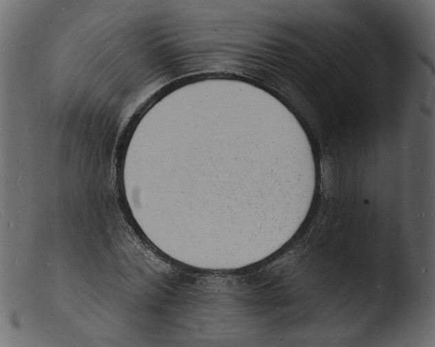 X0000103970780200810101307