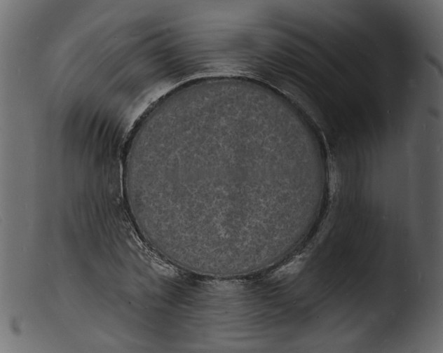 X0000103970781200810101307