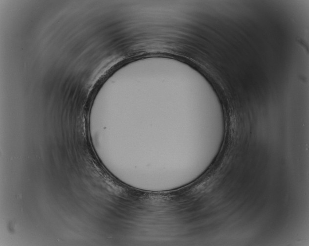 X0000103970782200810101307