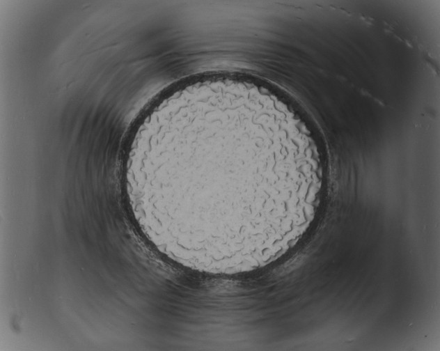 X0000103970783200810101307