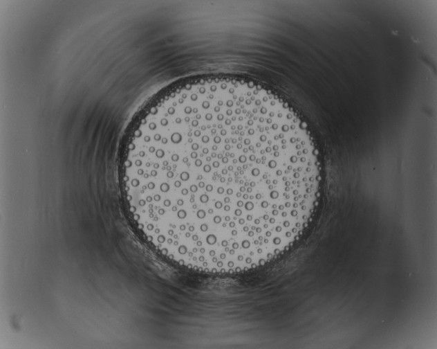 X0000103970784200810101307