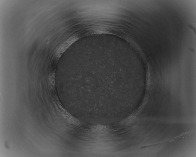 X0000103970785200810101307