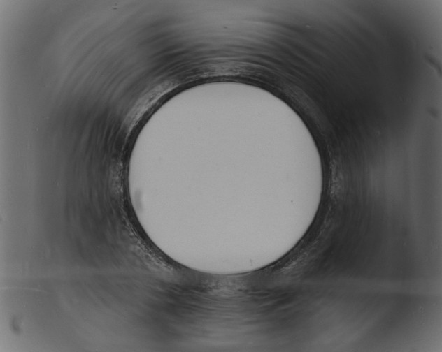 X0000103970786200810101307