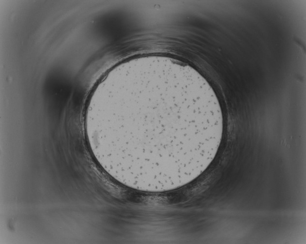 X0000103970789200810101307