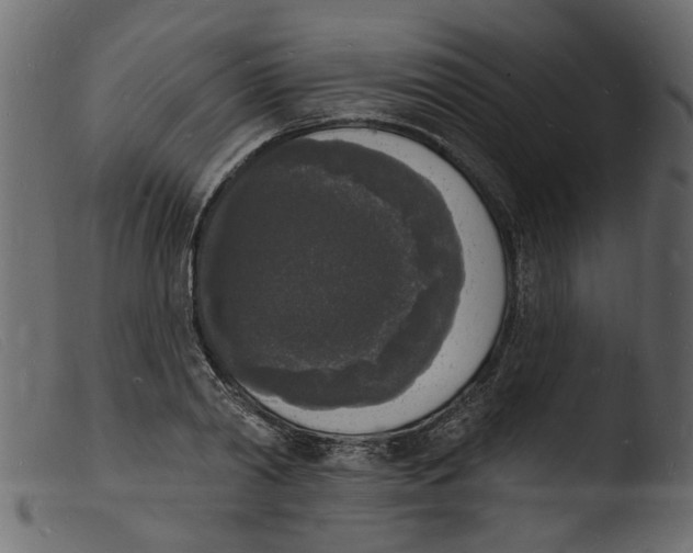 X0000103970790200810101307