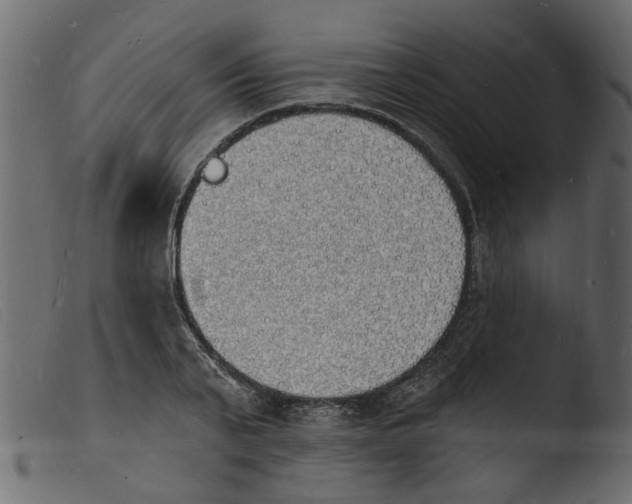 X0000103970791200810101307