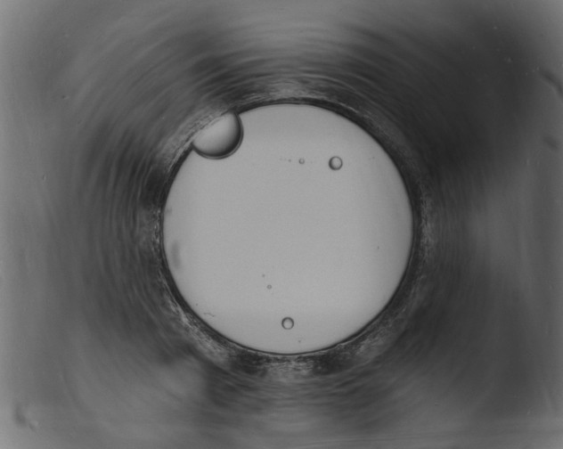 X0000103970793200810101307