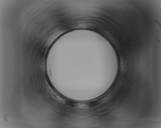 X0000103970794200810101307