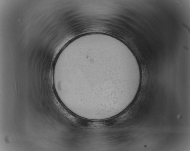 X0000103970796200810101307