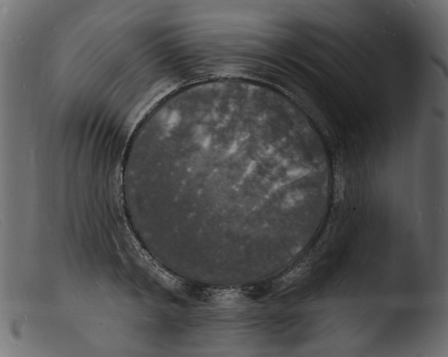 X0000103970798200810101307