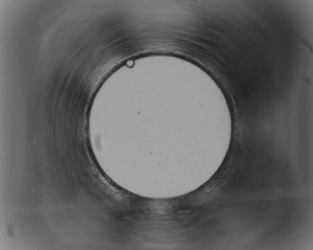 X0000103970799200810101306