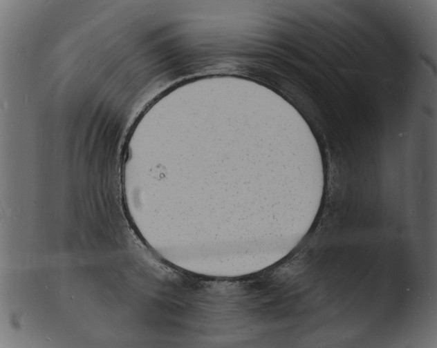 X0000103970800200810101306