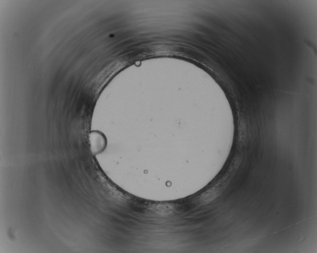 X0000103970801200810101306