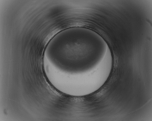 X0000103970802200810101306